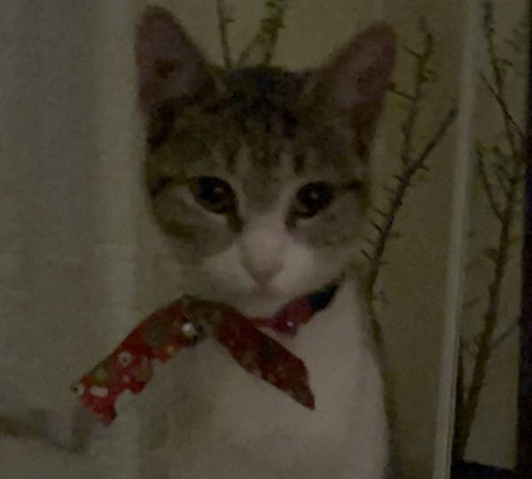 Luna