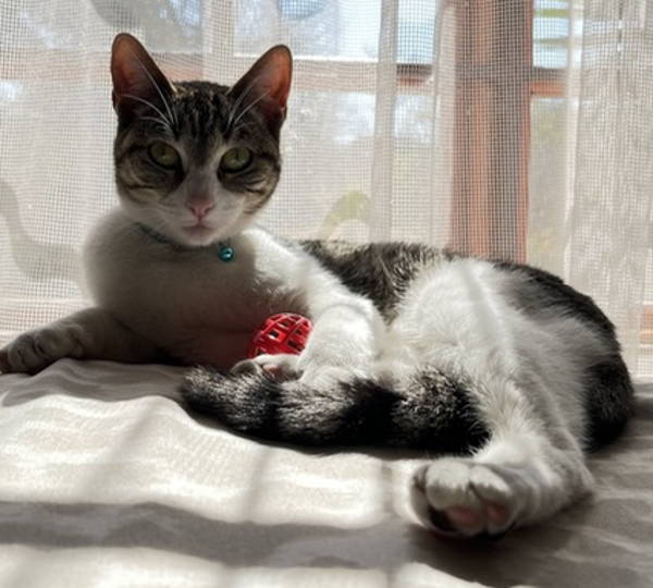 Luna