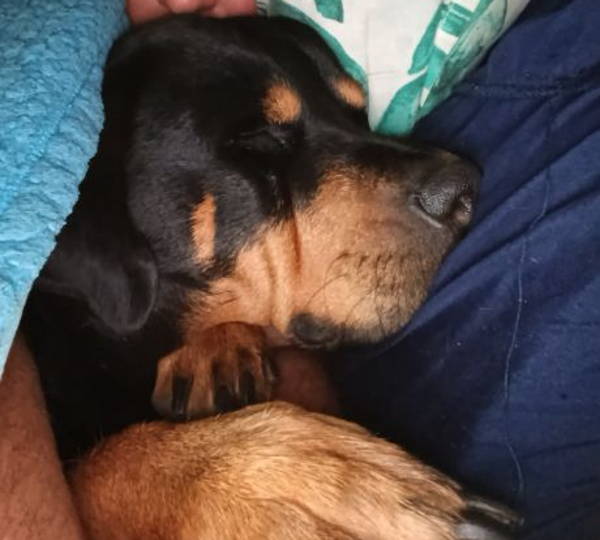 Anja