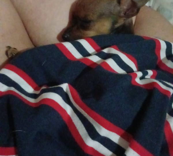 Zoey