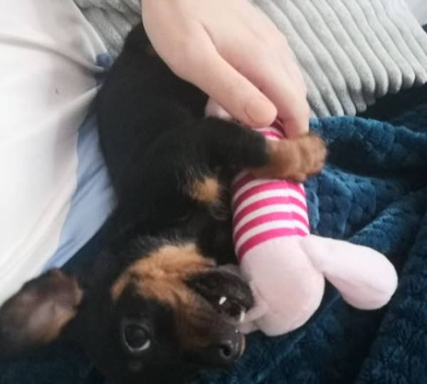 Lily