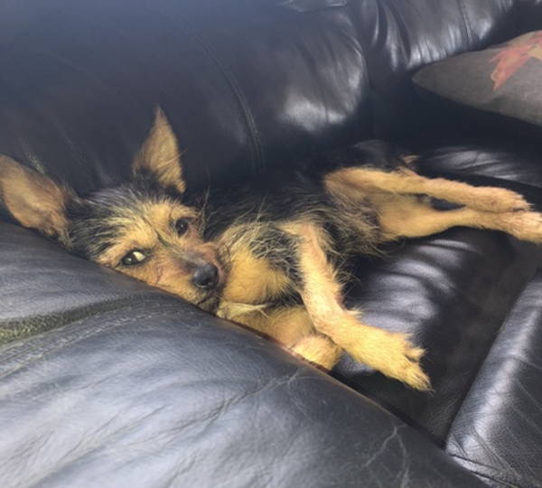 Milo