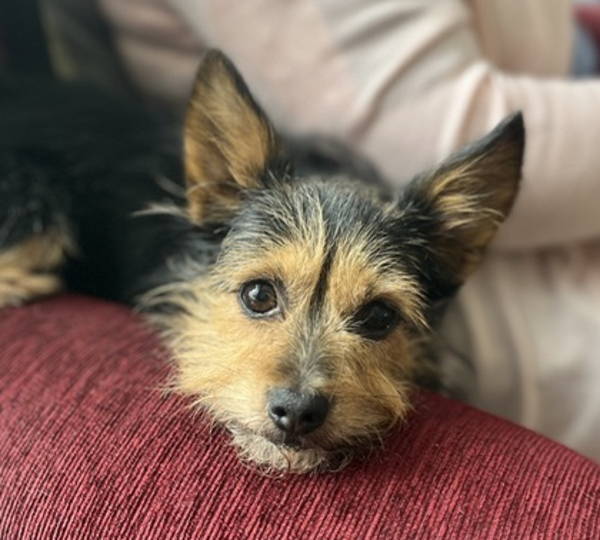 Milo