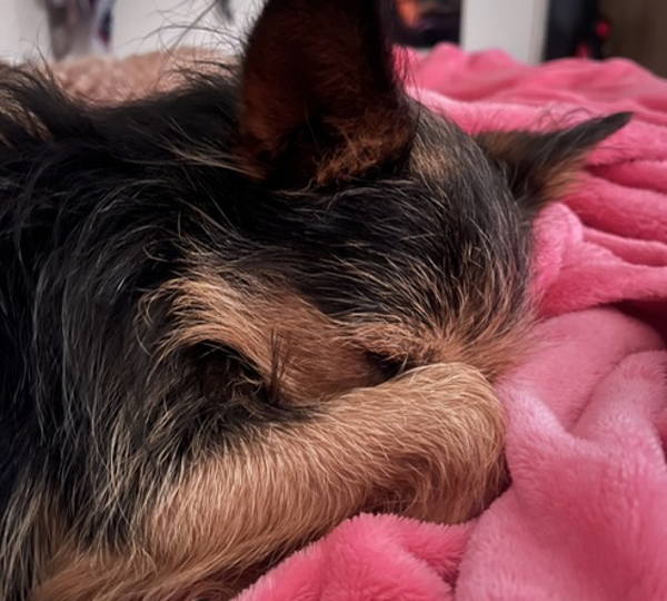 Milo