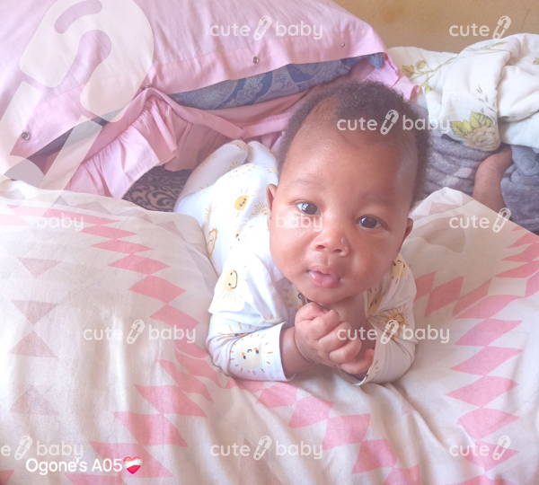 Theo