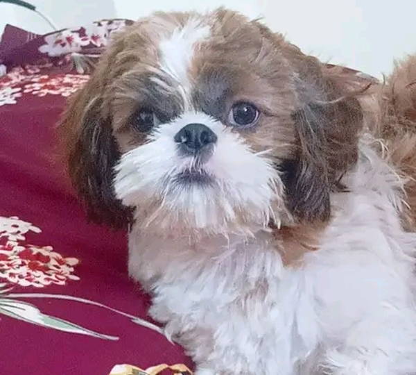 Max