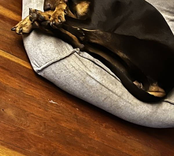 Luna