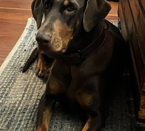 Luna