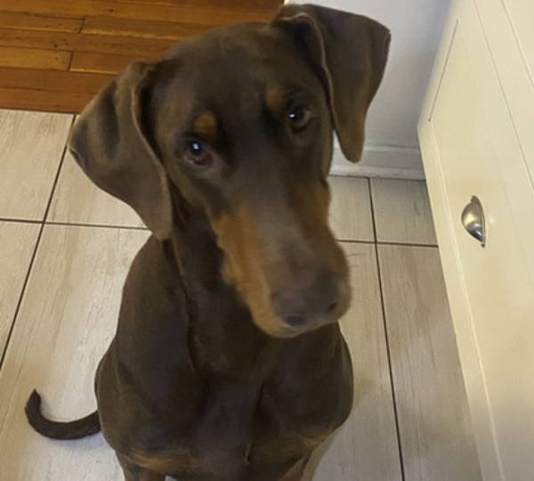 Luna