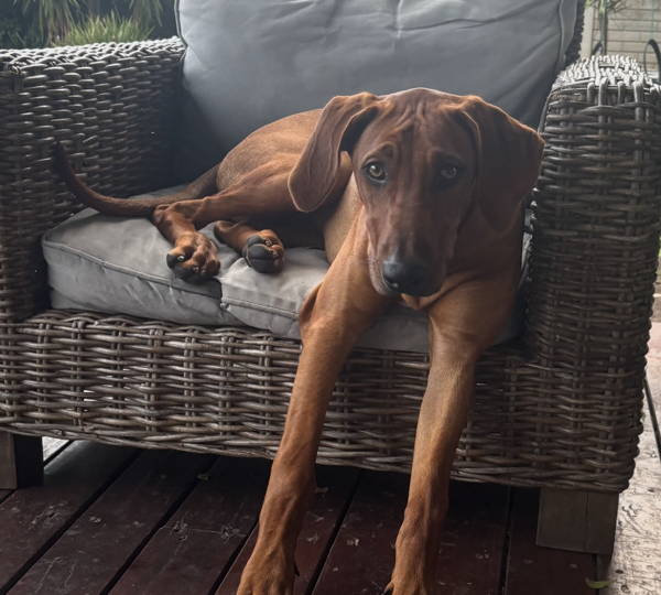 Nora