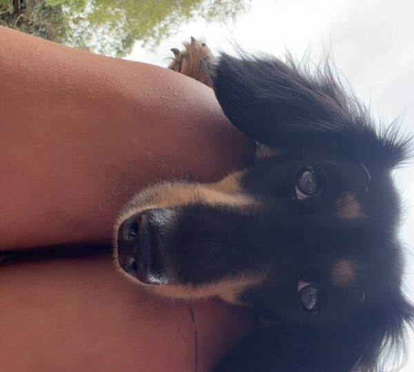 Bailey