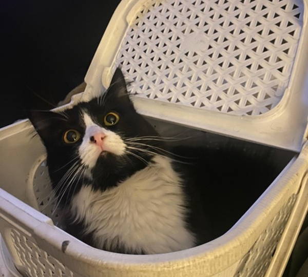 Luna