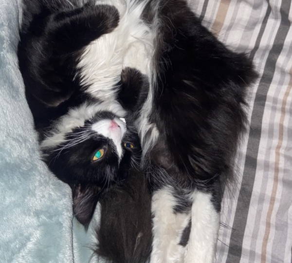 Luna