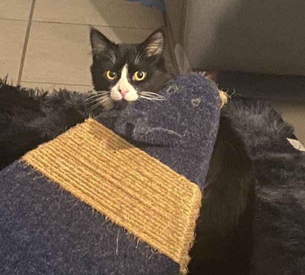 Luna