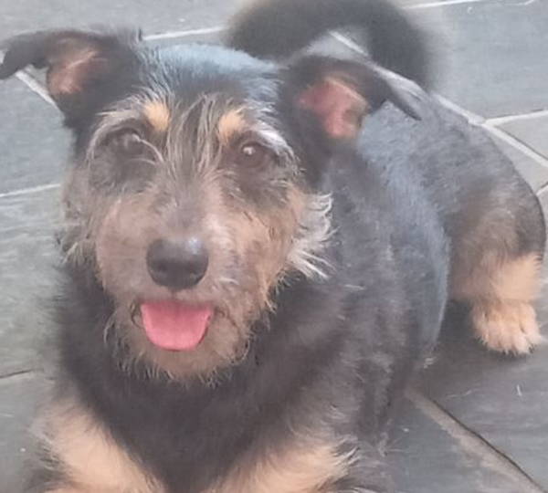Max